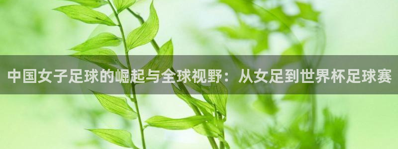 今晚世界杯球赛直播：中国女子足球的崛起与全球视野：从女足到世界杯足球赛